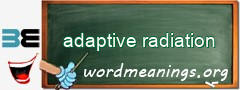 WordMeaning blackboard for adaptive radiation